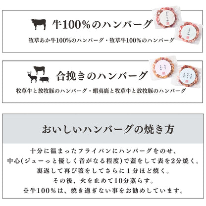 ハンバーグ3兄弟セット（120g×6個入り）